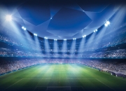 开云体育官网-德甲争冠战焦点战，太阳争冠战胜出黄蜂，双线争冠的激情与启示