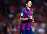 开云体育入口-从温网梦碎到年终加冕，蒂姆的逆袭与团队的胜利