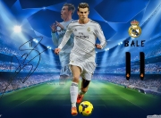 开云体育APP下载-赛道新纪元，雷诺横扫马丁，维斯塔潘独步史册