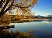 开云体育在线-步行者压哨绝杀灰熊，拉梅洛·鲍尔逆境爆发诠释巨星本色