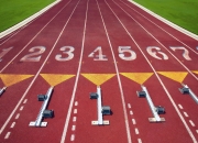 开云世界杯2026-橙衣军团折戟中美洲铁骑，2026世界杯F组，哥斯达黎加用防守反击书写唯一剧本