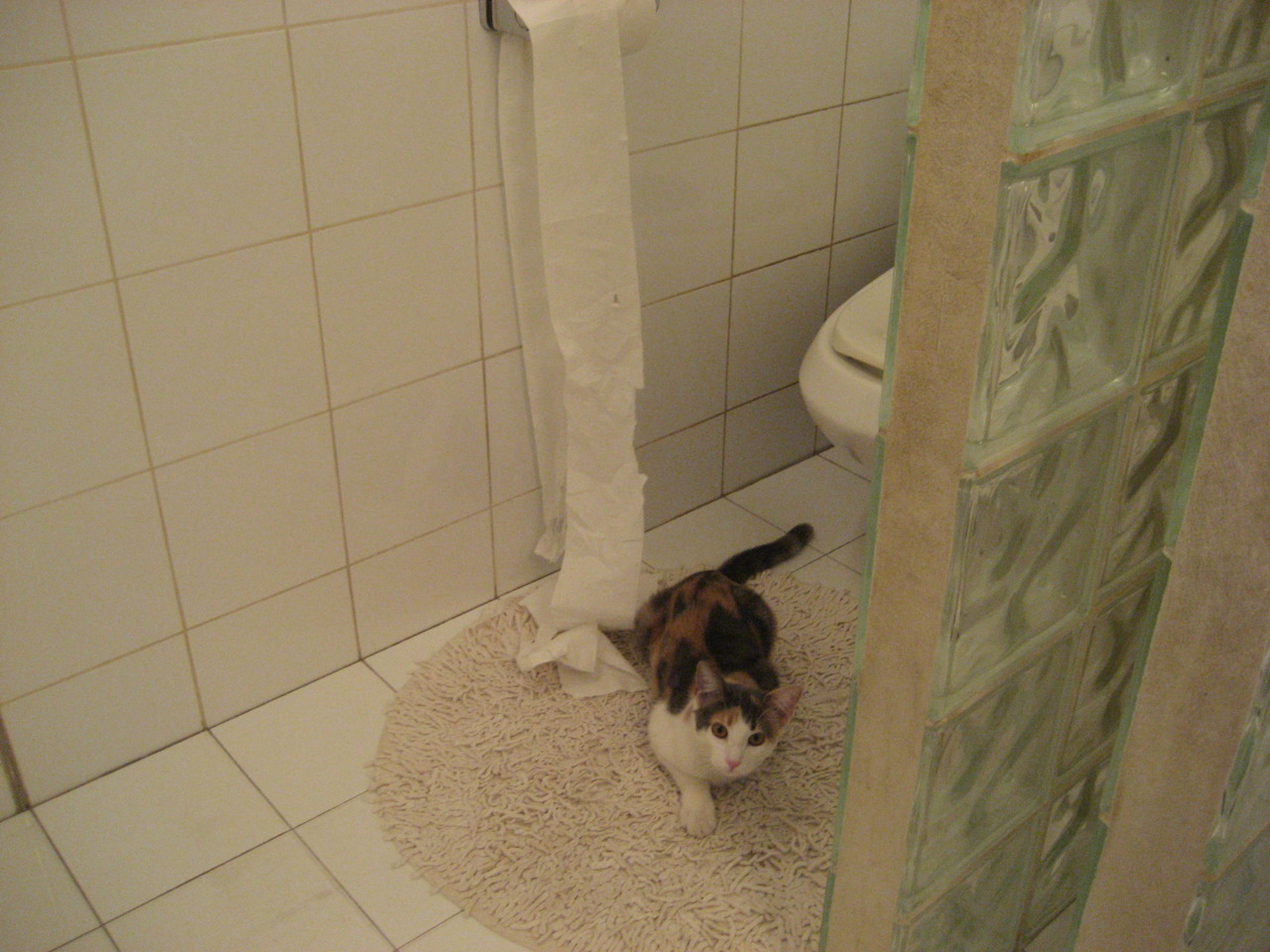 杜兰特冷血一击定乾坤,开拓者爆冷勇士背后的战术密码